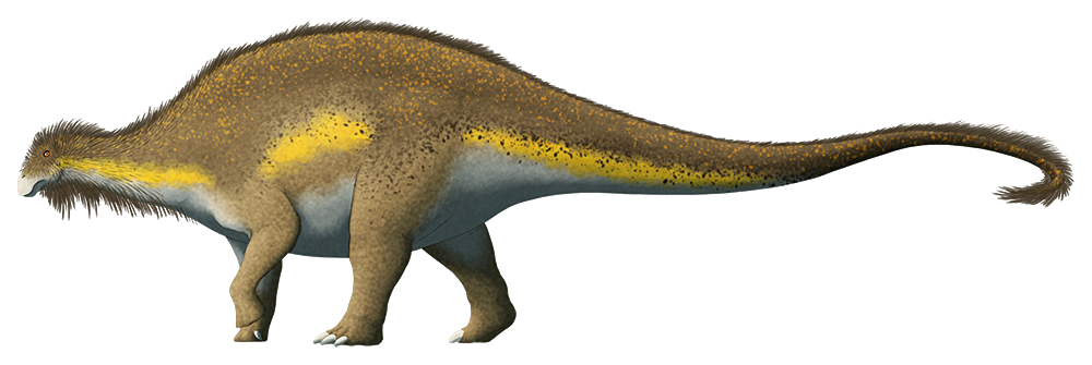 An illustration of an extinct sauropod dinosaur. Unlike most sauropods it has a very short neck.