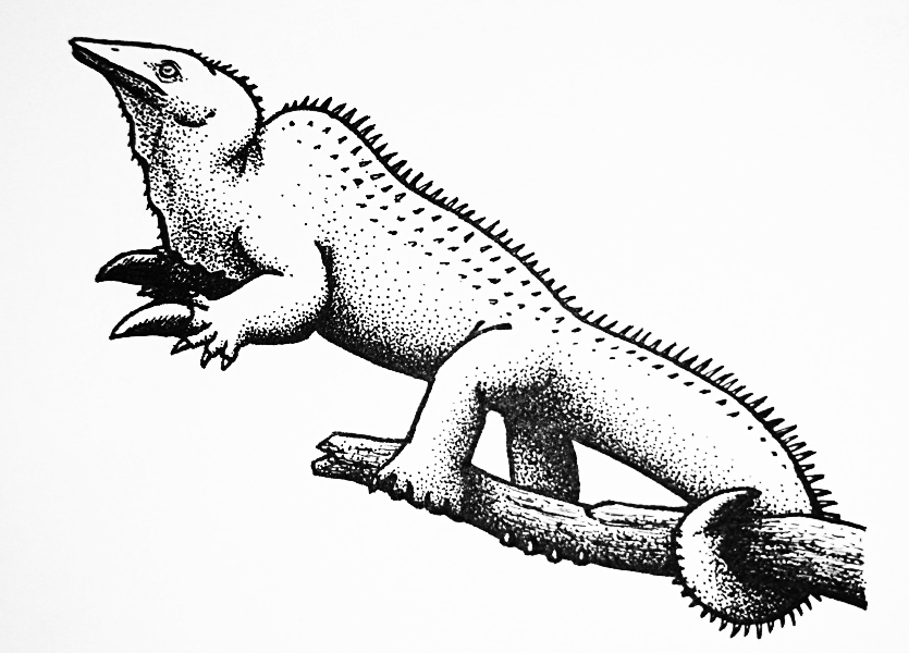 A pen and ink drawing of an extinct tree-climbing reptile. It has a triangular bird-like head and flexible neck, a humped back, hands with one of the claws massively enlarged, and a prehensile tail ending in a claw-like hook.