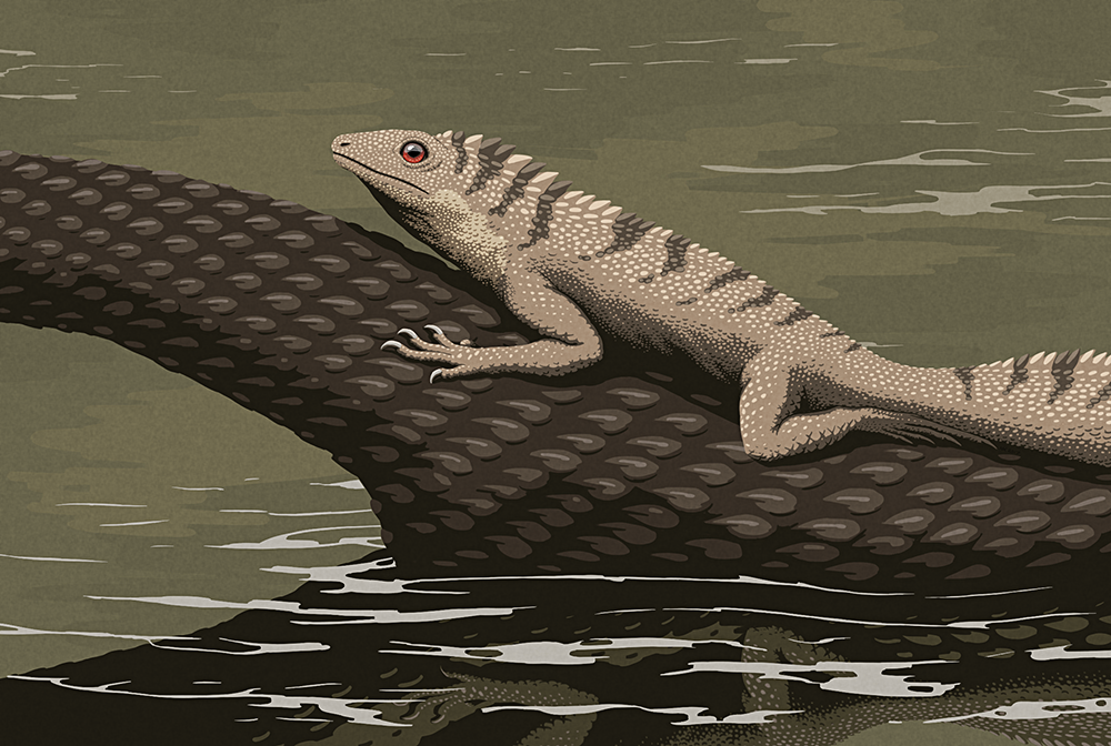 A stylized illustration of an an extinct semi-aquatic reptile, depicted basking on a fallen tree branch. It resembles a lizard with a long paddle-like tail.