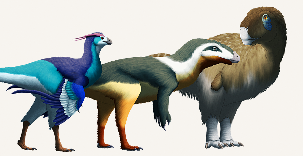 An illustration showing three different possible reconstructions of an extinct theropod dinosaur. On the left it's depicted as a bird-like beaked oviratorosaur, in the middle it's depicted as a generic carnivorous dinosaur, and on the right it's depicted as a small-armed chunky abelisaur. All three are shown with fluffy or feathery coverings on their bodies.