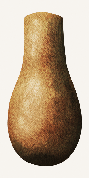 An illustration of an enigmatic microfossil. It's shaped like a round-bottomed flask.