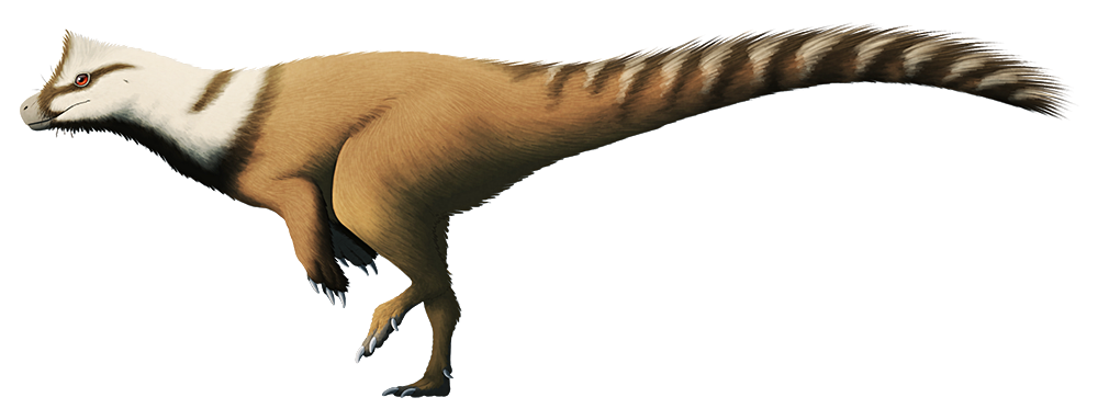 An illustration of an extinct early dinosaur. It's bipedal and resemlbes a theropo, with a rectangular head, small arms, slender legs, and a long counterbalancing tail. It's depicted with a thick coat of speculative protofeather fuzz on its body.