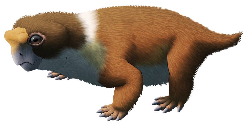 An illustration of an extinct animal distantly related to modern mammals. It has a turtle-like beak with a bumpy crest between its eyes, and a squat body with semi-sprawling limbs. It's covered in a speculative coat of fur, making it look like a pug-faced beaked guinea pig.
