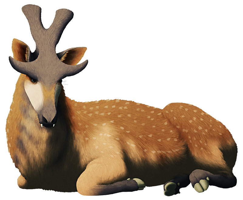 An illustration of an extinct deer-like hoofed mammal. It has a strange bony head crest shaped like a tuning fork, with two more horn-like prongs above its eyes, and fang-like teeth protruding from its mouth.