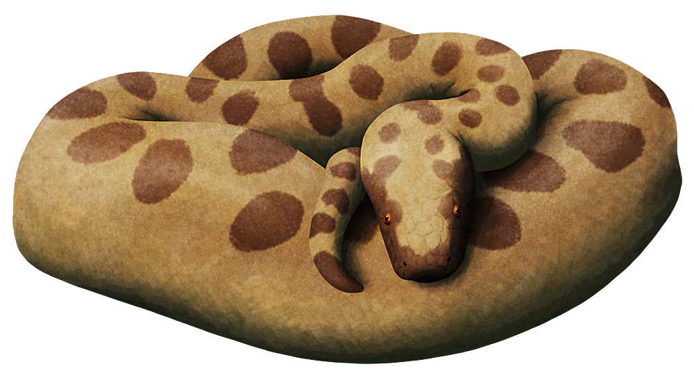 An illustration of an extinct giant snake, curled up into a pile of coils.