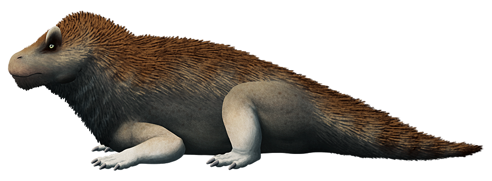 An illustration of an extinct animal distantly related to modern mammals. It has a dinosaur-like head with short horns above its eyes, a chunky body with a short thick tail, and four semi-sprawling clawed legs.