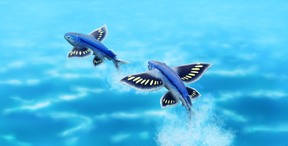 An illustration of some extinct fish similar to modern flyingfishes, depicted leaping out of the water with their four wing-like fins spread out.