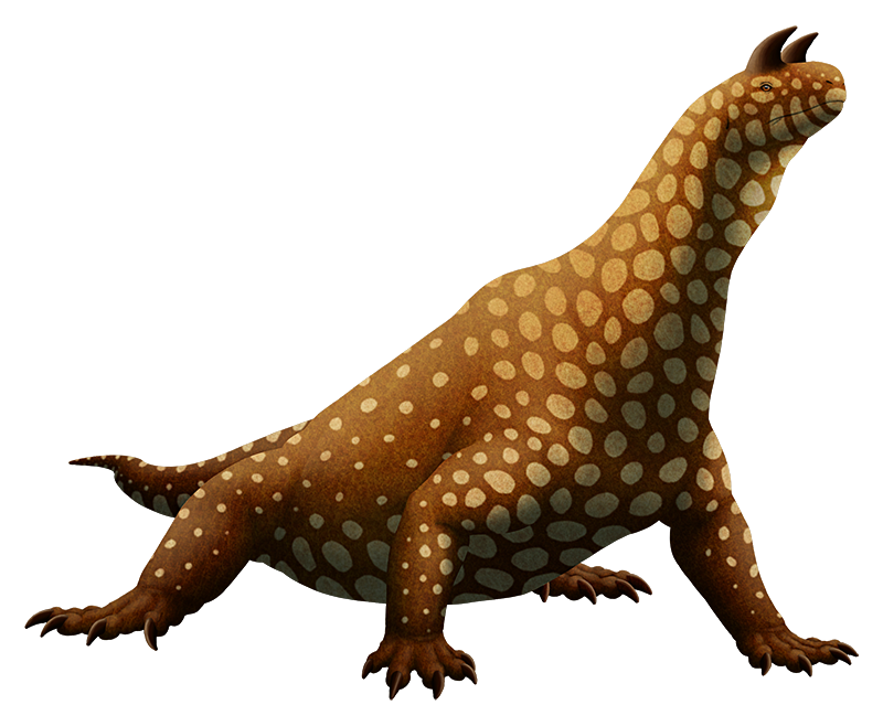 An illustration of an extinct reptile. It has a lizard-like head with a pair of forward-pointing bull-like horns above its eyes, a long neck, a sloping back, four semi-sprawling legs, and a short tail.