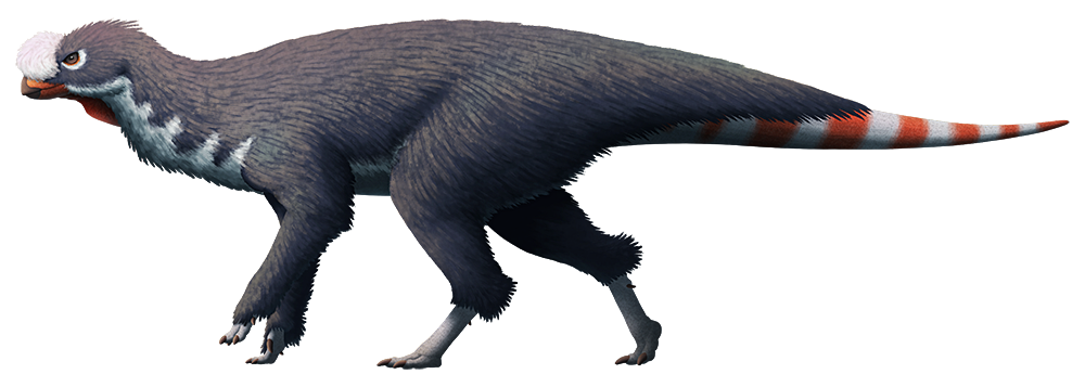 An illustration of an extinct early dinosaur-like animal. It's quadrupedal, with a beaked snout, a curving neck, long slender limbs, and a tapering tail. It's depicted covered in a speculative coat of protofeather fuzz.