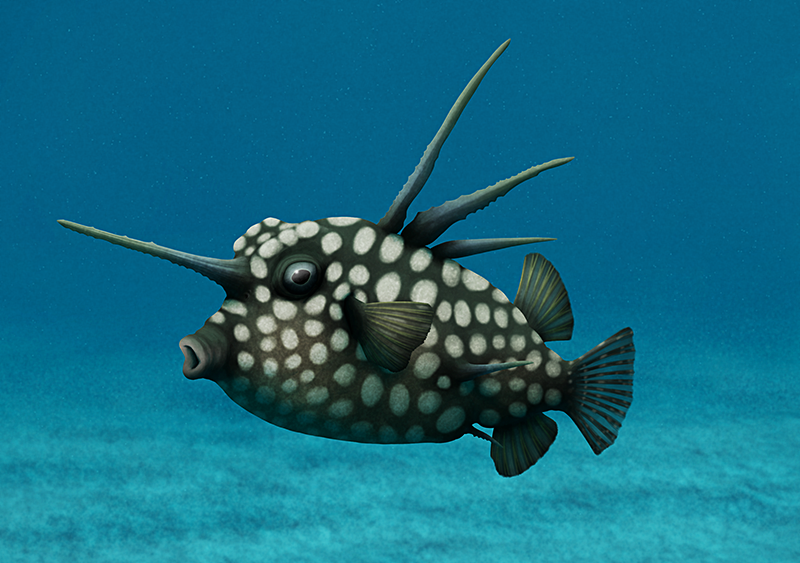 An illustration of an extinct reef fish related to modern boxfish. It has a boxy body covered in heavily armored scales, a blunt face with high-set eyes, three long spines on its back and another horn-like spine on the front of its head.