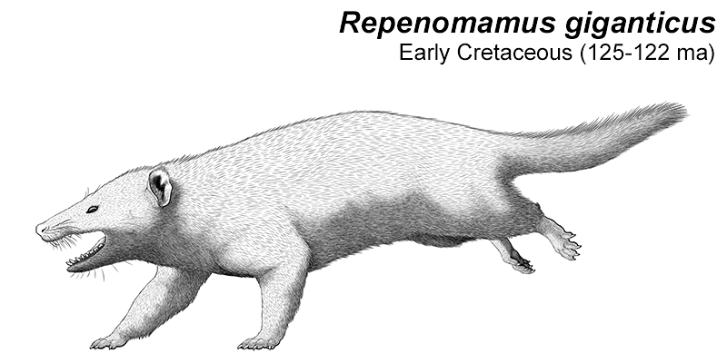 An illustration of an extinct eutriconodont, a type of early mammal. It resembled a mix of an opossum and a dog, with a mouth full of sharp teeth. There are small pointed spurs on its ankles.