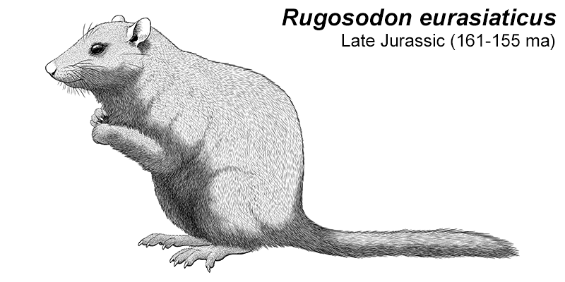 An illustration of an extinct multituberculate, a type of ancient mammal. It's a squirrel-like animal with a long tail.