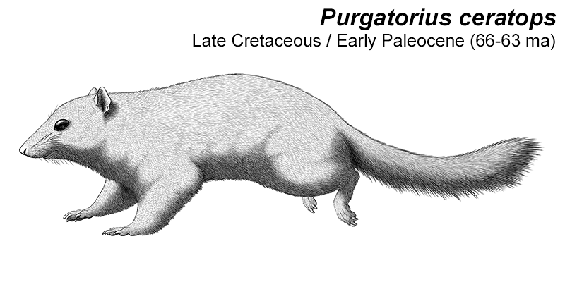 An illustration of an extinct mammal closely related to the ancestors of modern placentals. It's a very squirrel-like animal with a long bushy tail.