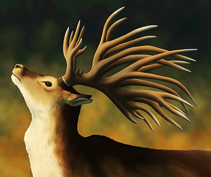 An illustration of an extinct deer, showing its head and back in front of an out-of-focus forest background, in lighting that suggests the "golden hour" periods around sunrise or sunset. It has very large twelve-pronged antlers that resemble a thick spiny bush.