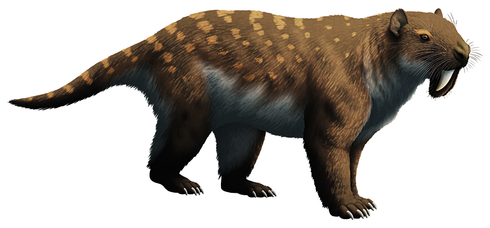 An illustration of an extinct sabertoothed mammal related to modern marsupials. It has a blunt, vaguely-cat-like snout with a large nose and small eyes, and long saberteeth protected by bony flanges extending from its lower jaw. It also has a bear-like body with a long tail and plantigrade limbs.
