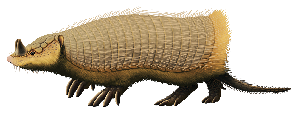 An illustration of an extinct armadillo. It has a pair of horns on its snout.