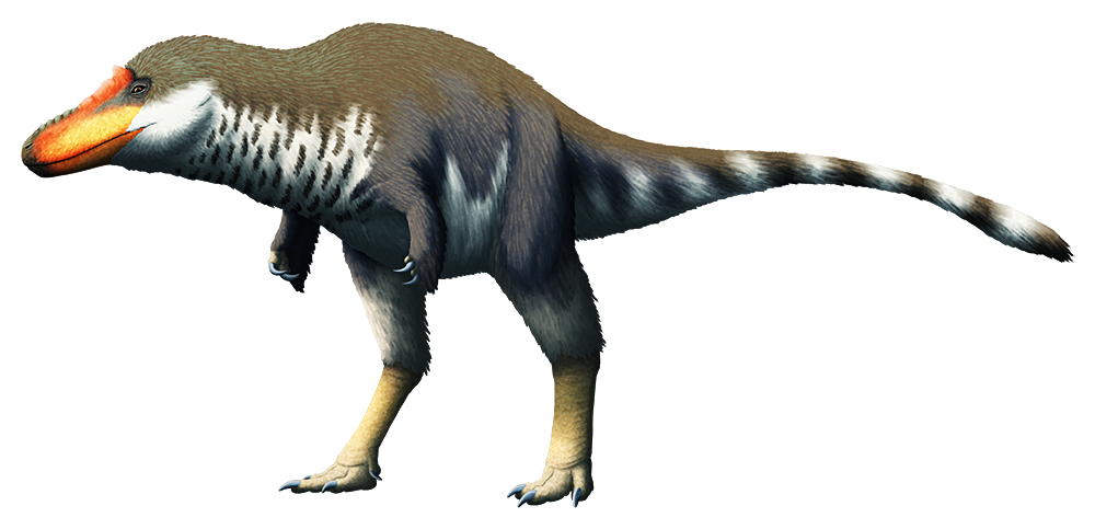 An illustration of a tyrannosaur dinosaur. It has an unusually long snout, tiny two-fingered arms, and speculative feathering over most of its body.