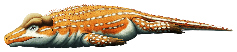 An illustration of an extinct reptile. It has a large bony dome on its head.