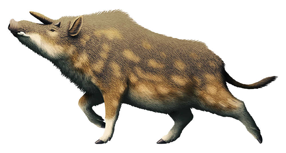 An illustration of an extinct giant pig. It has a large horn on its forehead, and two smaller horns above its eyes.