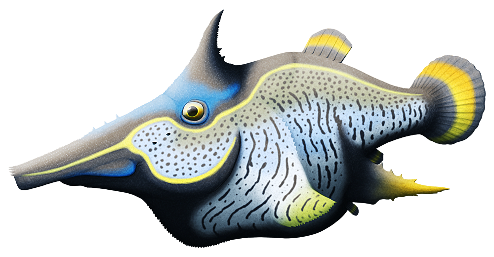 An illustration of an odd extinct fish. It has a long tubular snout, a single spiny horn on its head, and a squareish body. There are large thick spikes where its side fins should be.