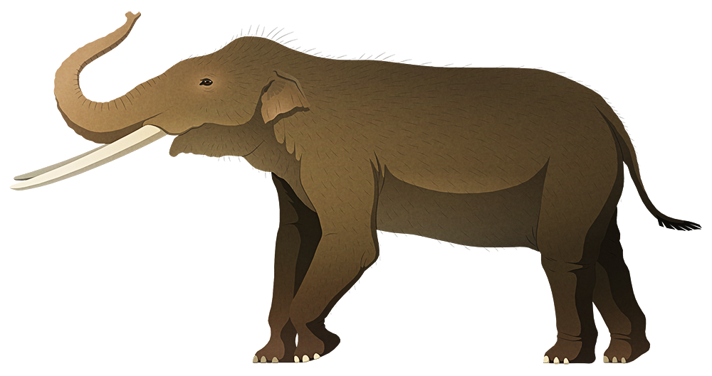 A stylized illustration of an extinct dwarf elephant. It has long straight tusks and small ears.