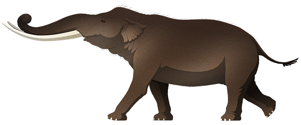 A stylized illustration of an extinct dwarf elephant. It has long gently curving tusks and proportionalyl short legs.