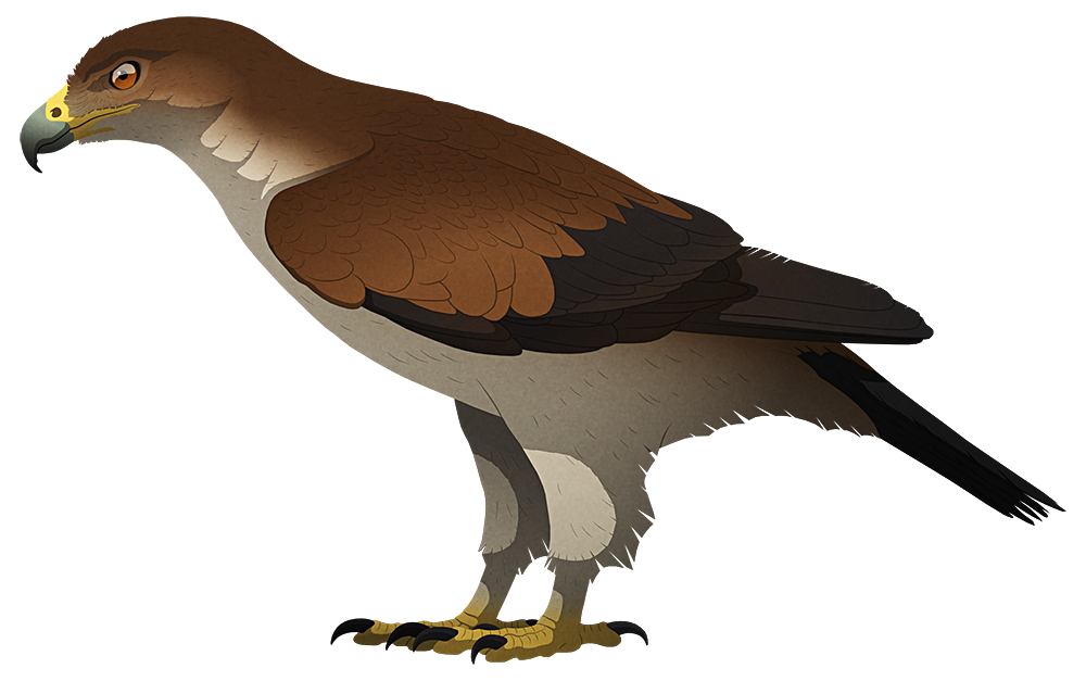 A stylized illustration of an extinct giant eagle. It has a hooked beak, short wings, and large talons.