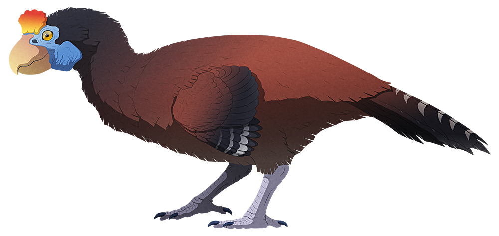 A stylized illustration of an extinct large flightless bird. It has a large parrot-like beak, a bony crest above its eyes, small wings, strong legs, and a long tail. Its body shape and posture resemble a non-avian dinosaur more than a bird.