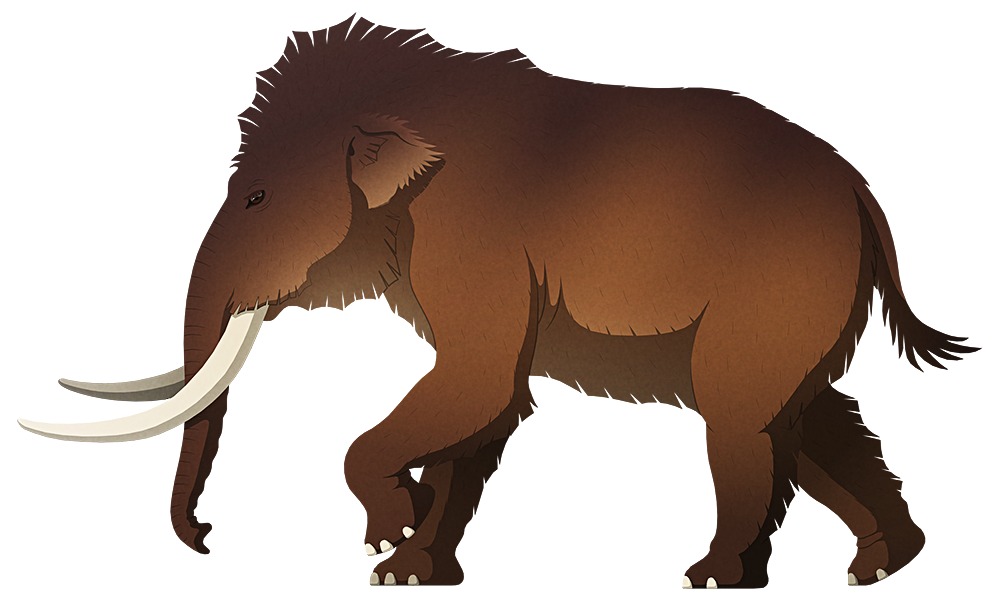 A stylized illustration of an extinct pgymy mammoth. It has curving tusks, small ears, and a speculative coat of hair.