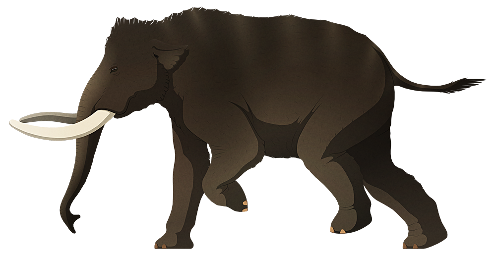 A stylized illustration of an extinct dwarf elephant. It has short thick twisting mammoth-like tusks and small ears.