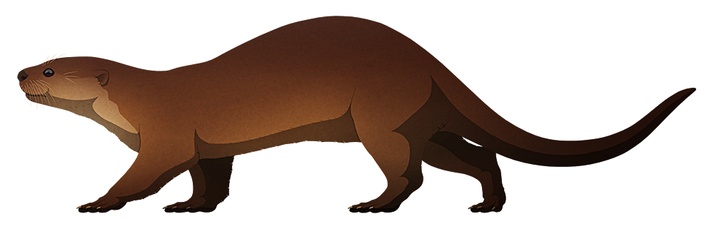 A stylized illustration of an extinct otter. It has a blunt snout and chunky legs.