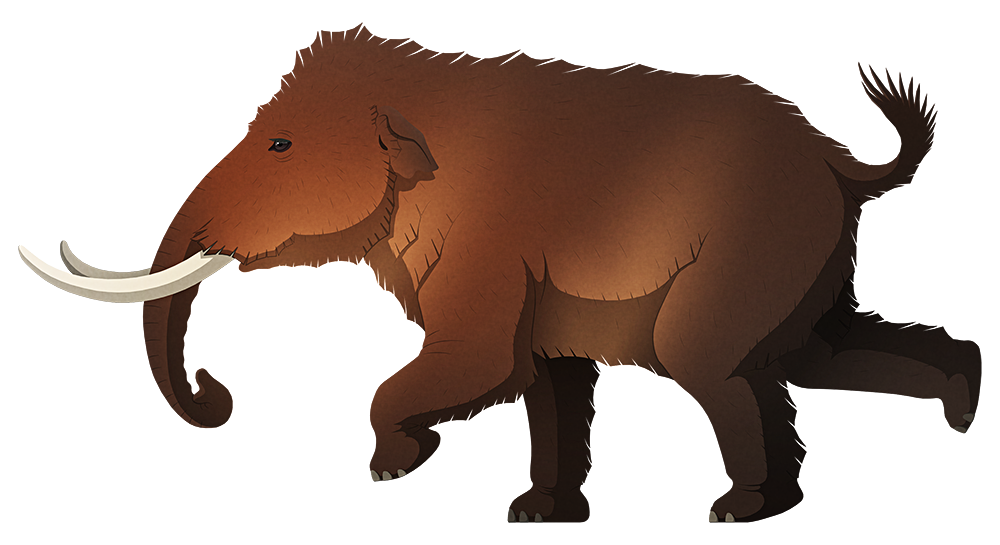 A stylized illustration of an extinct pygmy mammoth. It has gently curving tusks, small ears, and a body shape more like a baby elephant.