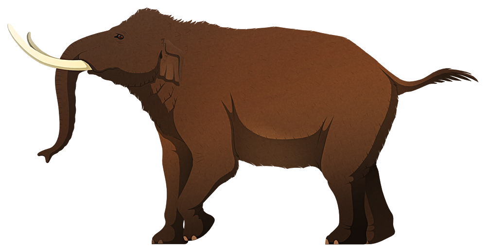 A stylized illustration of an extinct dwarf elephant. It has long thin tusks and small ears.
