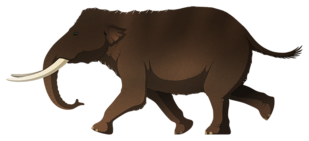 A stylized illustration of an extinct dwarf elephant. It has long gently curving tusks and small ears.