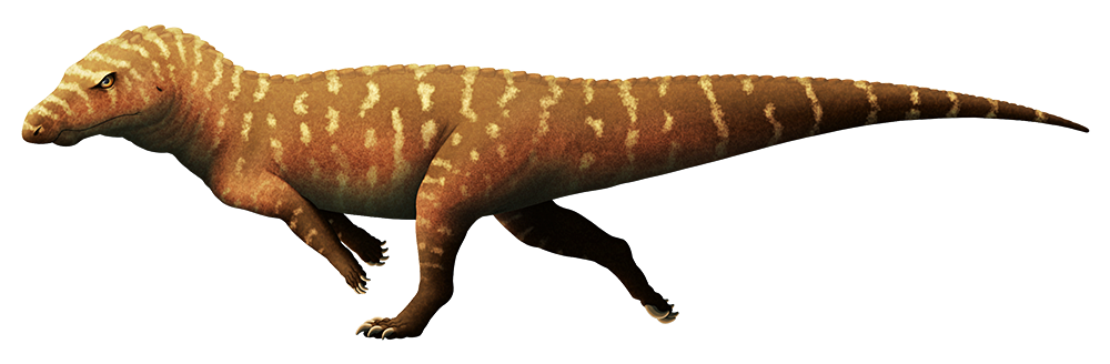 An illustration of an extinct distant relative of modern crocodiles. It resembles a carnivorous theropod dinosaur, running on its hind legs. It has a hooked overbite to its snout, two rows of armor plates along its back, realtively small arms, large claws on its feet, and a long thick tail.