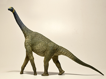 A photograph of an Atlasaurus model. Its been reconstructed very skinny, which only serve to emphasize its weird proportions.