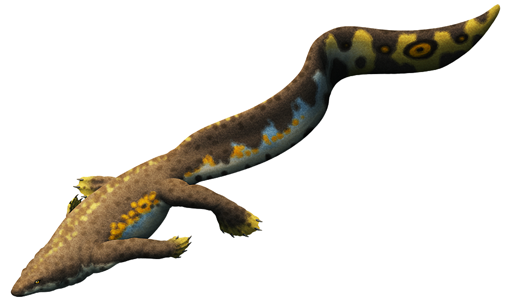 An illustration of an extinct aquatic lizard-like reptile. It has paddle-like webbed feet and a very long eel-like tail.
