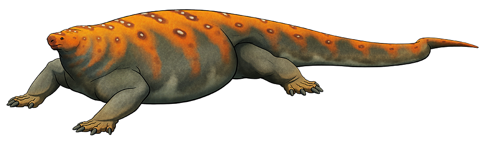A colored line drawing of an extinct synapsid, a reptile-like relative of mammals. It resembles a big fat lizard, with short chunkly legs and a proportionally tiny head.