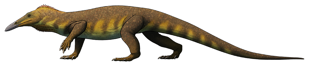 A colored line drawing of an extinct reptile. It has a long-legged lizard-like body and an oddly bird-like head with a long toothless beak.