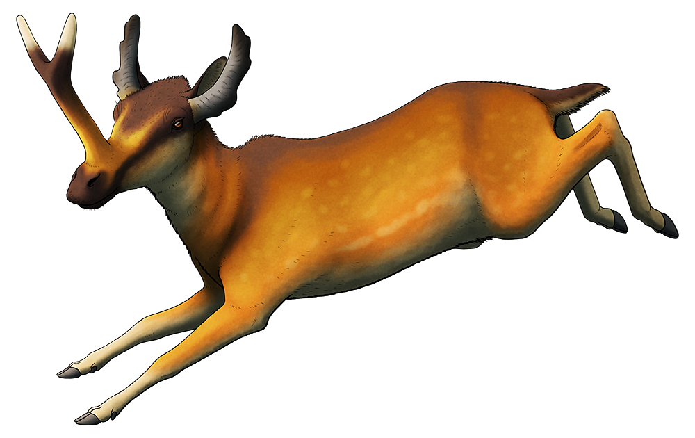 A colored line drawing of an extinct deer-like animal. It has a pair of horns on its head, along with a long horn on its nose that has a two-pronged forked tip.