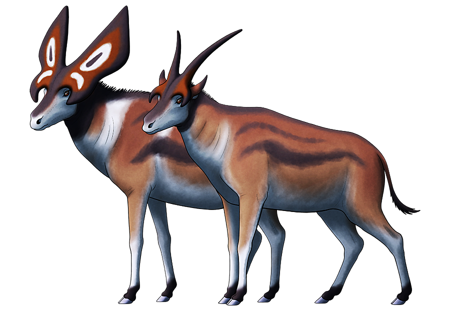 An illustration of a male and female of an extinct deer-like species related to giraffes. The female has long slender horns, with a short forward-pointing projection over her eyes. The male has much wider flat horns that resemble butterfly wings.