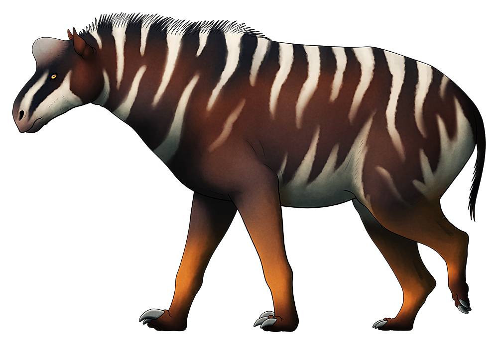 A colored line drawing of an extinct horse-like mammal. It has a chunky, rather goat-like body, and instead of hooves its three-toed feet have large curved claws. It has a horse-like neck and head, and a large bony dome on its forehead.