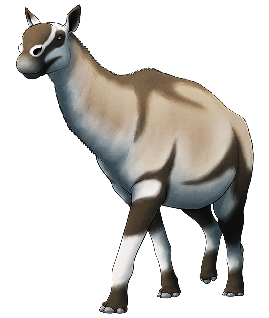 A colored line drawing of an extinct llama-like mammal. It has a long neck, long legs, and three-toed hoofed feet. It head resembled a mix between a camel , a giraffe, and a moose, with a large bulbous nose along the top of its head and nostrils set far back on its snout.