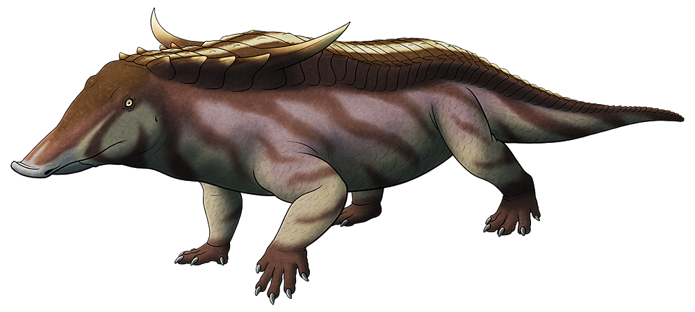 A colored line drawing of an extinct armored reptile related to modern crocodiles. It has a more upright posture than a croc, and rows of thick armor plates along its back that extend into long spines above its neck and shoulders. Its head is relatively small and triangular, with an upturned slightly pig-like snout on its upper jaw and a toothless beak on the lower.