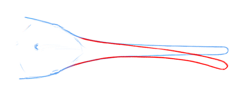 A sketch showing Ensidelphis' bizarre side-curving snout. A hypothetical straight snout is shown outlined in blue, while the actual curvature is overlaid in red.