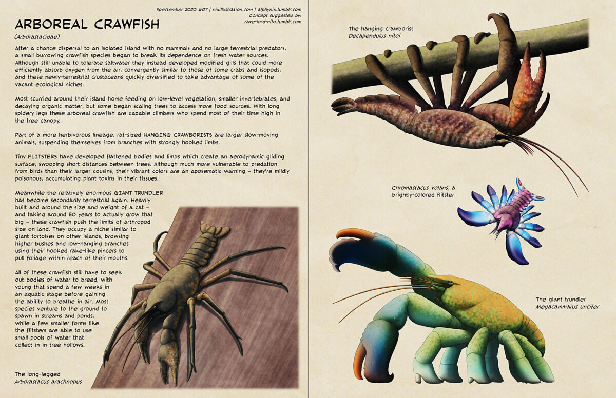 Spectember #07: Arboreal Crawfish