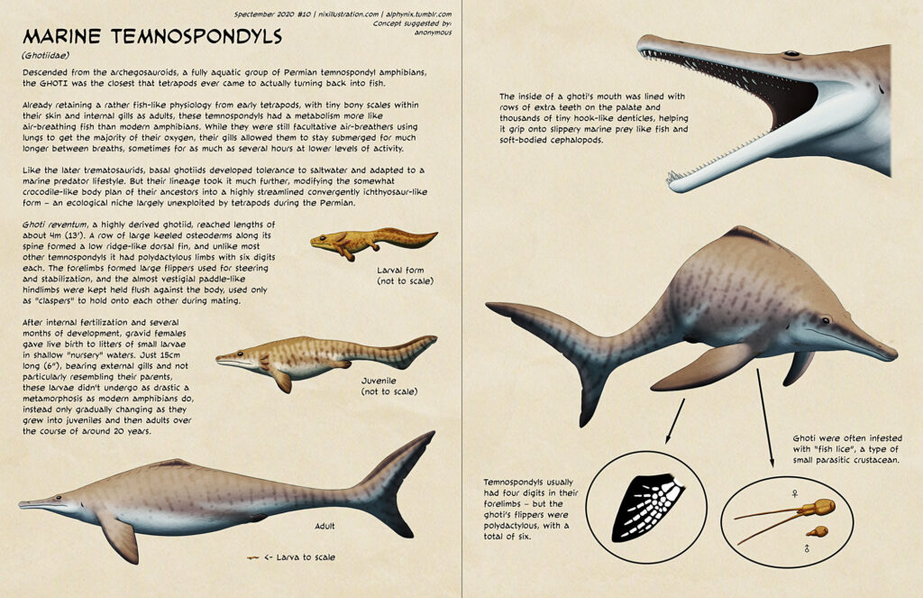 Spectember 10 Marine Temnospondyls Nix Illustration   10 Marine Temnospondyls 1024x663 