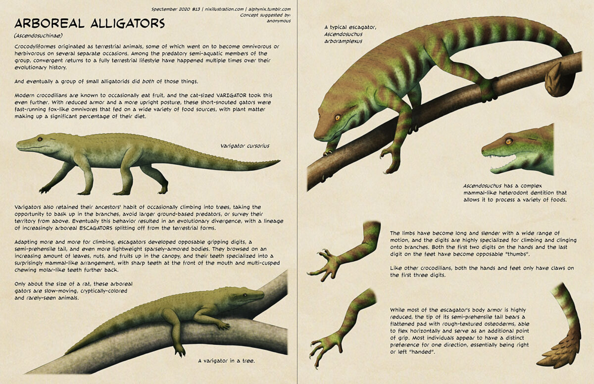 Spectember #13: Arboreal Alligators