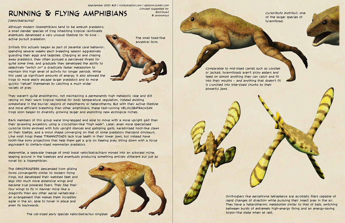 Spectember #15: Running & Flying Amphibians