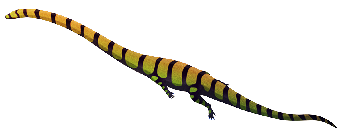 An illustration of an extinct marine reptile. It has an incredibly long neck, as long as the rest of its body and tail combined.